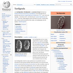 Tardigrada