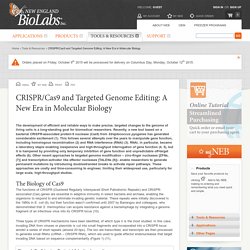 CRISPR/Cas9 and Targeted Genome Editing: A New Era in Molecular Biology