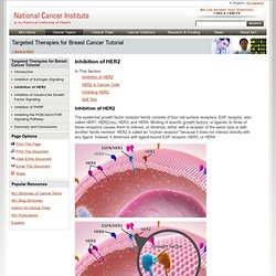 Targeted Therapies for Breast Cancer Tutorial