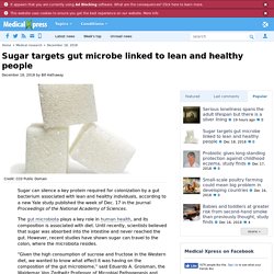 Sugar targets gut microbe linked to lean and healthy people