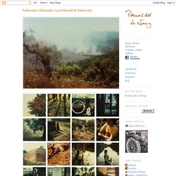 Tarkovsky&#039;s Polaroids / Las Polaroid de Tarkovsky