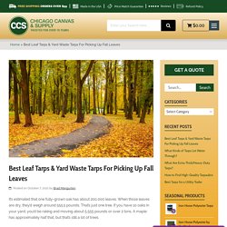 Best Leaf Tarps & Yard Waste Tarps For Picking Up Fall Leaves