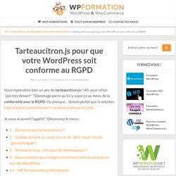 Tarteaucitron.js, WordPress & RGPD : comment ça marche ?