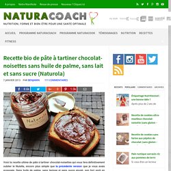 Recette bio de pâte à tartiner chocolat-noisettes sans huile de palme, sans lait et sans sucre (Naturola)