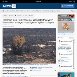 Tasmania fires: First images of World Heritage Area devastation emerge, show signs of 'system collapse'