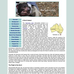 Tasmanian Devil Genome Project: Background