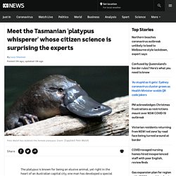 Meet the Tasmanian 'platypus whisperer' whose citizen science is surprising the experts