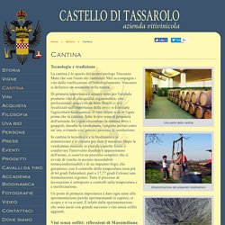 Castello di Tassarolo - azienda vitivinicola - Cantina
