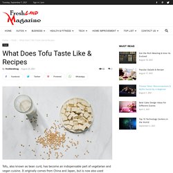 What Does Tofu Taste Like & Recipes - Fresh Land Magazine