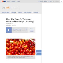 How The Taste Of Tomatoes Went Bad (And Kept On Going) : The Salt