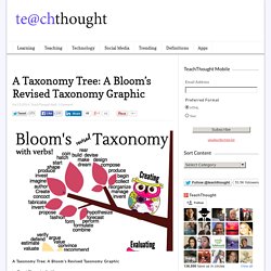 A Taxonomy Tree: A Bloom's Revised Taxonomy Graphic
