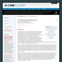TCP/IP Socket-Programmierung in C#