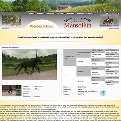 Stal Mansolein, stoeterij in dressuur en springpaarden - Te Koop - DE PAARDEN - Inhoud#tk18#tk18#tk18#tk18#tk18