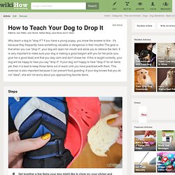 How to Teach Your Dog to Drop It: 6 steps (with pictures)