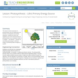 Photosynthesis – Life's Primary Energy Source - Lesson