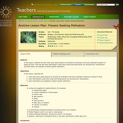 CAS: Teachers - Flowers Seeking Pollinators