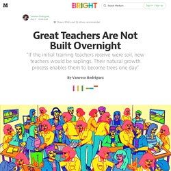 Great Teachers Are Not Built Overnight — Bright