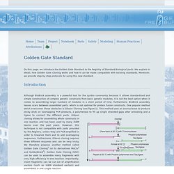 Team:Freiburg/Project/Golden