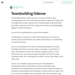 Teambuilding Odense