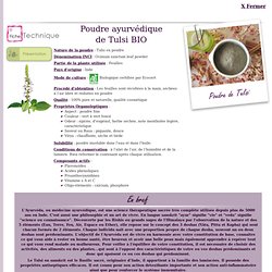 Fiche technique Extrait de plante : Poudre ayurvédique de Tulsi - Ocimum sanctum leaf powder