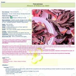 Fiche technique Aroma-Zone - Fleurs d'Hibiscus (bissap) BIO en poudre