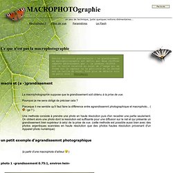 Technique en macrophotographie, notions...