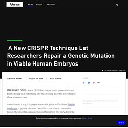 A New CRISPR Technique Let Researchers Repair a Genetic Mutation in Viable Human Embryos