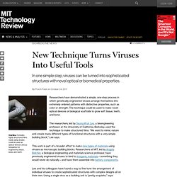 New Technique Turns Viruses Into Useful Tools