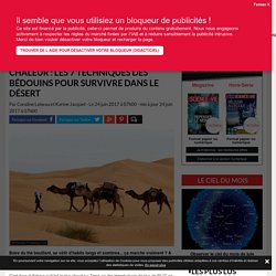 Chaleur : les 7 techniques des Bédouins pour survivre dans le désert - Science-et-vie.com