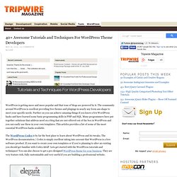 40+ Awesome Tutorials and Techniques For WordPress Theme Developers