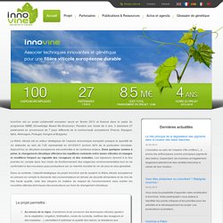 Innovine, Associer techniques innovantes et génétique pour une filière viticole européenne durable   - INNOVINE, innovation in Vineyard