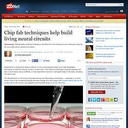 Chip fab techniques help build living neural circuits