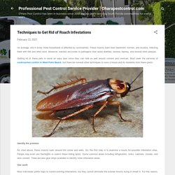 Techniques to Get Rid of Roach Infestations