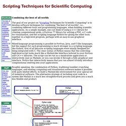 Scripting Techniques for Scientific Computing