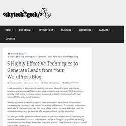 5 Highly Effective Techniques to Generate Leads from Your WordPress Blog - SkyTechGeek