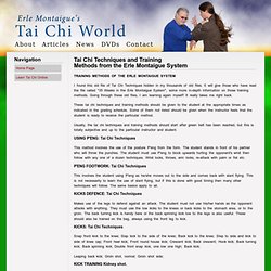 Tai Chi Techniques and Training Methods of the Erle Montaigue System