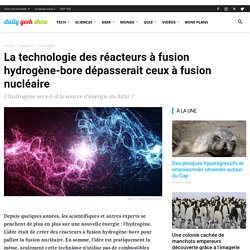 La technologie des réacteurs à fusion hydrogène-bore dépasserait ceux à fusion nucléaire
