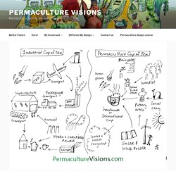 Hard and Soft Technologies - Permaculture Visions