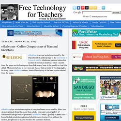 eSkeletons - Online Comparisons of Mammal Skeletons