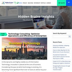 Technology Consulting: Optimize Operations and Efficiency of Enterprises - Hidden Brains Blog