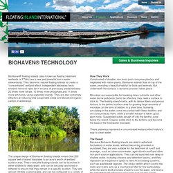 BioHaven® Technology « Floating Island International