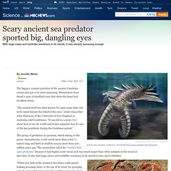 Ancient sea predator had dangling eyes - Technology & science - Science - LiveScience