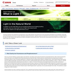 Light in the Natural World