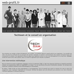 Techteam et le conseil en organisation