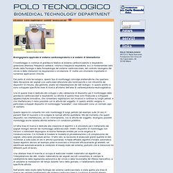 Polo Tecnologico Biomedical Thecnology
