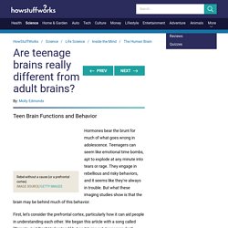 Article 7: "Teen Brain Functions and Behavior"