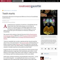 Teeth marks