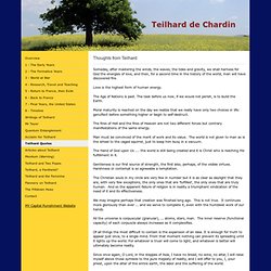Teilhard Quotes - Teilhard de Chardin jimdo page!