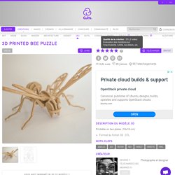 Télécharger modèle 3D gratuit 3D Printed Bee Puzzle