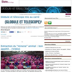 Le blog sciences et environnement de Slate.fr